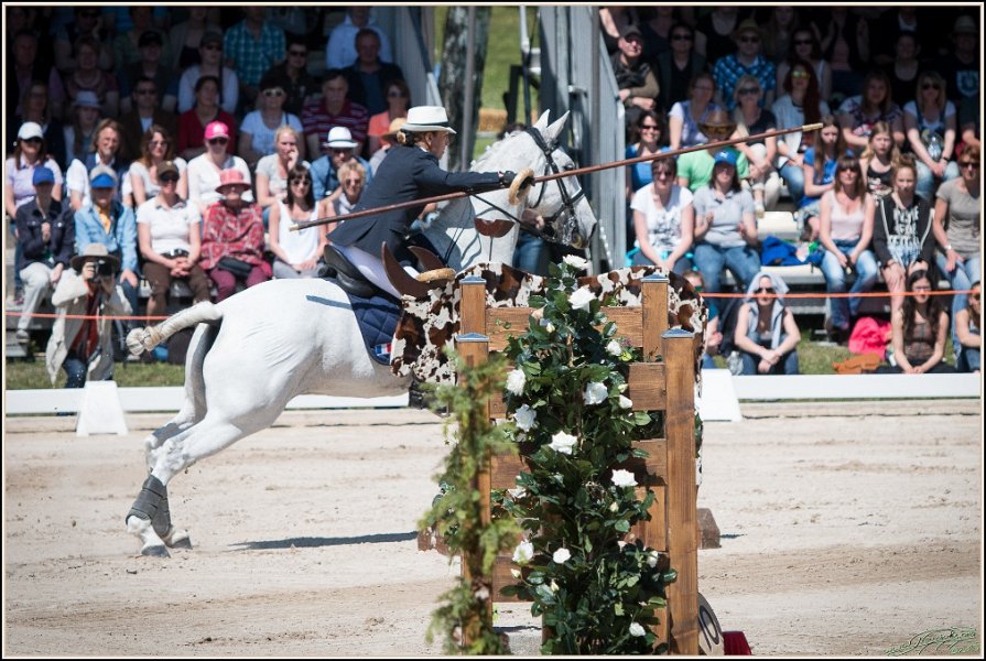 Pferd International 156
